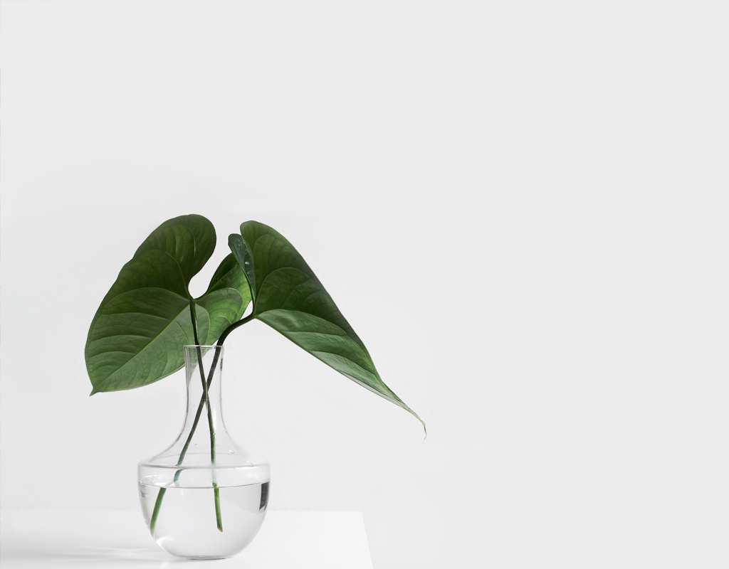 Do You Want a Partner or an Accessory? Issy Living